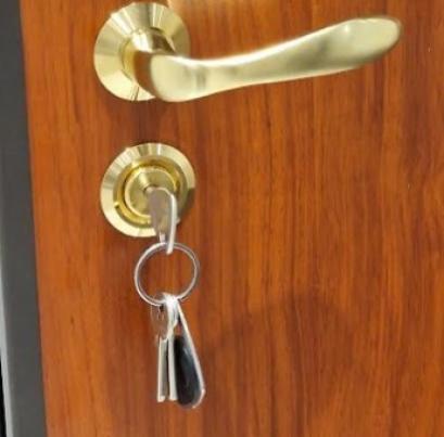 PORTE PALIERE PREMIUM (THERMIQUE- PHONIQUE- BLINDE- COUPE FEU) LYON 9 DUCHERE