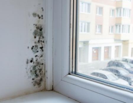 UNE HABITATION BIEN AÉRÉ C'EST UN INTÉRIEUR SAIN  POUR TOUTE LA FAMILLE