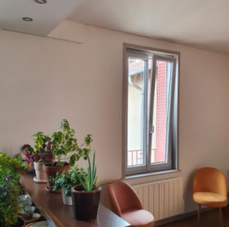 MAGNIFIQUE FENETRE PVC GRIS CLAIR INTERIEUR /BLANC EXTERIEUR - VILLEURBANNE